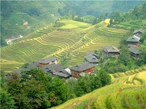 Longji Terrace