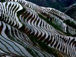Longji Terrace
