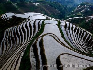 Longji Terrace Longji Terrace