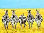 Hainan Tropical Wildlife Garden Hainan Tropical Wildlife Garden