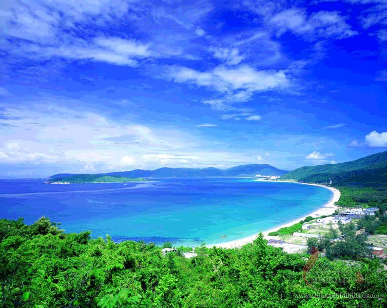 Mangrove Forest in Dongzhai Port