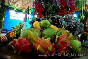 Haikou City Haikou City