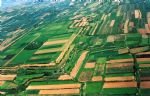 Emperor Zhao City Emperor Zhao City