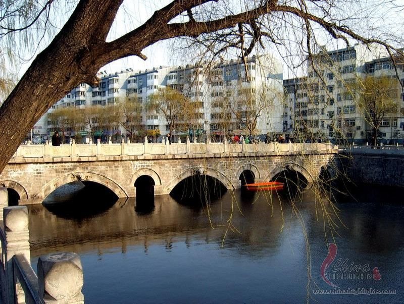 Toddler Bridge