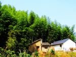 Moganshan Scenic Area