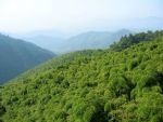 Moganshan Scenic Area