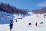 Ice Wonderland Experience & Short Ski Tour around Harbin