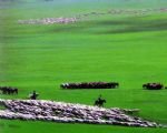 Xilamuren grassland Xilamuren grassland