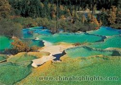 Yingbin Pond