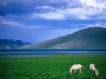 Hulunbuir Travel Hulunbuir Travel