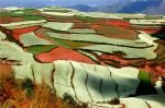 Dongchuan Red Land