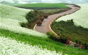 Dongchuan Red Land in September