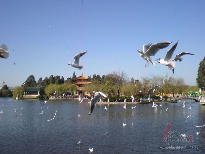 Kunming Travel Tips