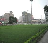 Binhe Road Greenery Corridor