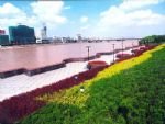Binhe Scenery
