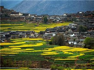 The town of Shigu