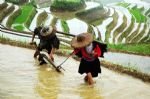 Guilin Minority Culture Discovery Tour