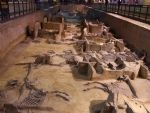 The Museum of Imperial Carriages of the Emperor of Zhou Dynasty The Museum of Imperial Carriages of the Emperor of Zhou Dynasty