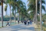 South Lake Park South Lake Park