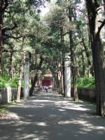 Confucian Family Graveyard Confucian Family Graveyard