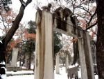 Confucian family graveyard