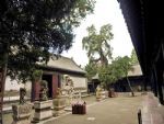 Confucian Family Graveyard Confucian Family Graveyard