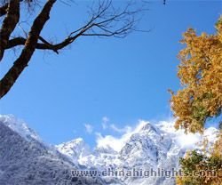 Mingyong Glacier