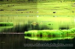 Bitahai Lake