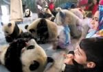 Shanghai Zoo