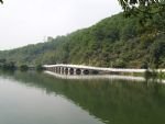 Xianhu Botanic Garden