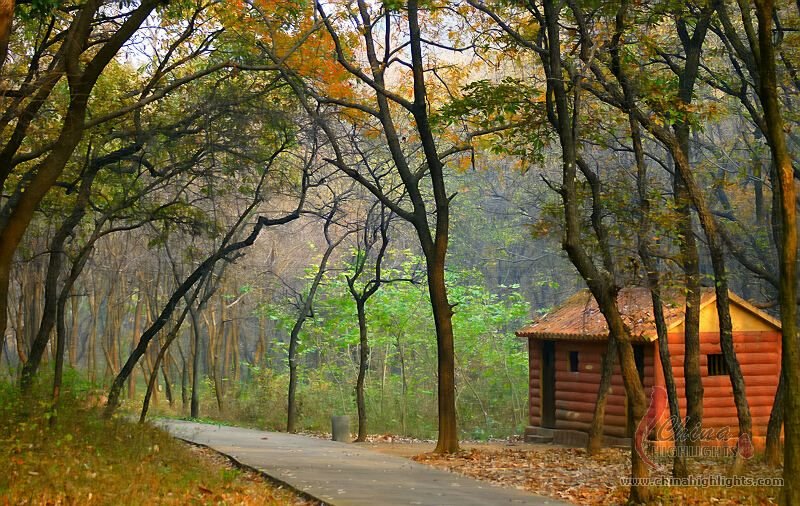 Huangcangyu National Forest Park