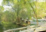 Humble Administrator's Garden