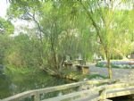 Humble Administrator's Garden