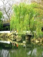 Humble Administrator's Garden