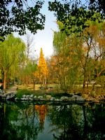 Humble Administrator's Garden