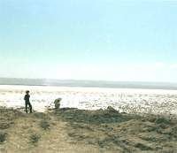 Aiding Lake, Turpan