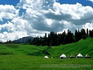 Rent a horse to ride on Mt Nan Pastures and Terai Camp. Rent a horse to ride on Mt Nan Pastures and Terai Camp.