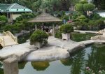 Shuzhuang Garden Shuzhuang Garden