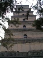 The Big Wild Goose Pagoda