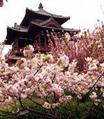 Qinglong Temple Qinglong Temple
