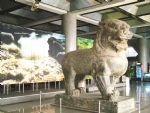 Shaanxi History Museum