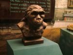 The Historical Museum of Shaanxi Provice