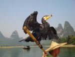 Xingping-travel Xingping-travel