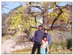 Yangshuo