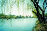 Slender West Lake Slender West Lake