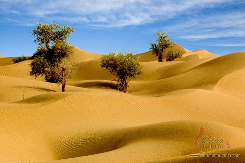 http://images.chinahighlights.com/attraction/yarkent/taklamakan-desert-tourist-scenic-region.jpg