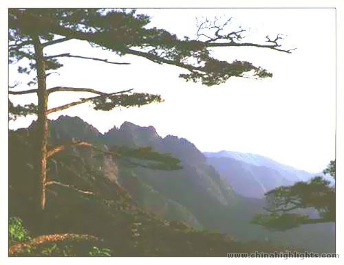 Yellow Mountain