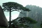 Huangshan resort areas-travel Huangshan resort areas-travel