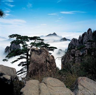 Sea of clouds