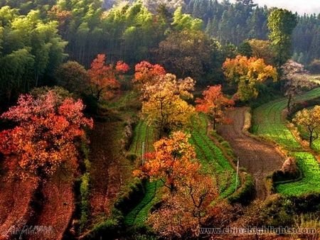 Tachuan Village